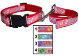 New Arrival Colorful Pet Products, Dog Leash&Collar (JCLC-403)