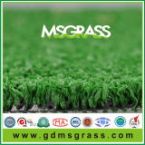 Popular Sports Artificial Grass for Hockey (MSQW-C12D26EG)