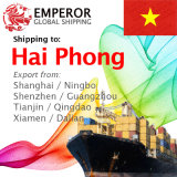 Sea Freight Shipping From China to Hai Phong, Vietnam