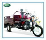 250cc/200cc/150cc Three Wheel Motorcycle; Motor Tricycle (GM150ZH-M1, GM200ZH-M1, GM250ZH-M1)
