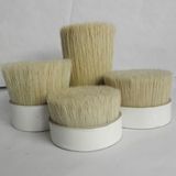 Provide 60%-90% Tops Boiled Bristles