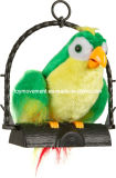 Words Repeating Talking Parrot Plush Toy