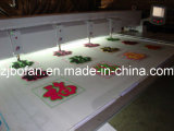 Bofan 615 Chenille/Towel Embroidery Machine