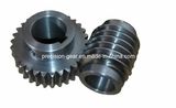 Carbon Steel Worm Gear & Worm