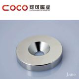 Ring Type Magnet/ NdFeB for Permanent Magnet Steo Motor