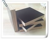 Film Faced Shuttering Plywood (Factory&Export)