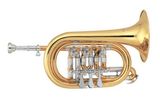 Rotary Valve Cornet