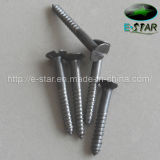 Screw Shank Coil Nails