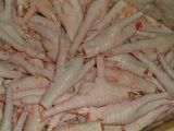 Chicken Feet - 2