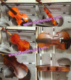 High-Quality, Cashew Nutshell Varnish, Hand-Made, Glossy or Matt Paint Violin (AVL-010)