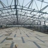 Professional Chicken House Construction with Steel Structure