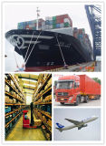 Consolidation From Chinese Main Ports to Worldwide