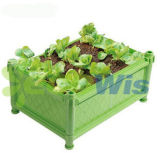 China Manufacturer Garden Planting Boxes (HT5120)