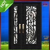 Eyebrow Top Wrought Iron Door Design with Transom