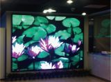P5 Fixed LED Display for Indoor Environment