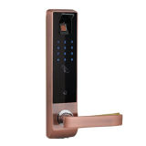 Biometric Apartment Door Lock
