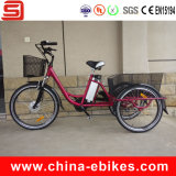 2015 New Model Aluminium Alloy Electric Tricycle (JSE506)