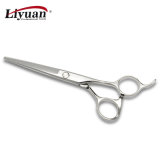 Hair Scissors (LY-BD55)