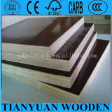 (1250*2500mm) Finger Joint Plywood / Construction Formwork Plywood