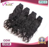 Xbl Top Quality Indian Cheap Remy Human Hair