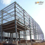 Steel Structure Shed, Steel Building for Car Parking (DC045)