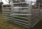 Cattle Panel/Horse Panel/Galvanized or PVC Coated Livestock Panel