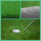 Synthetic Turf for Golf Sport (MHQD-C15C32PM)