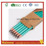 Eco Friendly Hb Plastic Pencil for School Stationery