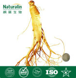 GMP Hot Sale Panax Ginseng Extract for Body Health