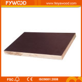 Excellent Factory to Produce The Black Color Film Faced Plywood with Good Price for Construction