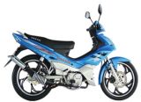 Motorcycle (DY110-8)