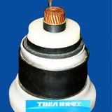 220kv Power Cable with Cu/XLPE/CAS/PE-1*500mm2