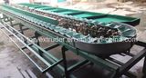 Food Processing Machinery/ Fruit Sorting/Grading Machine