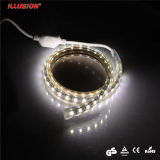 Illusionul CE RoHS 3 Years' Warranty Waterproof LED Strips