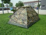Military Camo Three Person Camping Tent (HWT-239)