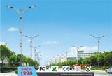 60W LED Outdoor Street Light (DL0095)