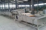 Fruit and Vegetable Cleaning Machine