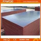 Marine Film Faced Plywood/Shuttering (FYJ1510)