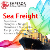 Sea Freight From Shanghai Ningbo Shenzhen Guangzhou Tianjin Qingdao Dalian Xiamen China to Worldwide Destinations