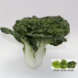 Artificial Vegetable, Imitative PVC Cabbage