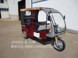 Electric Tricycle (YF-BORAK)