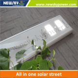 Customized High Quality 8W Solar LED Light