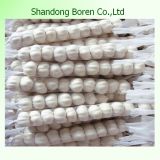 Chinese Nature Garlic in Top Quality
