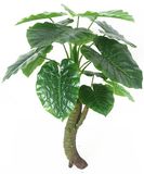 Tropical Flower Plant Wholesale Artificial Tropical Plants 610