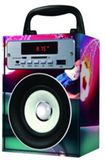 Wood Cards Speaker, 2014 MP3 USB FM SD Speaker