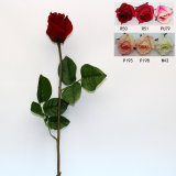 Gift Rose Flower
