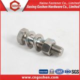 Standard Fastener Hex Bolt & Nut and Washer