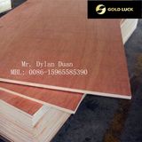 9mm Bintangor Plywood with Poplar Core---Gold Luck