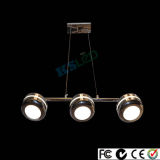 Exqusite LED Ceiling Lamp Lighting for Decoration