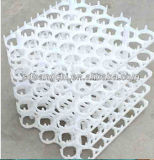 42-Cell Plastic Egg Tray/Box/Crate for Chicken Eggs